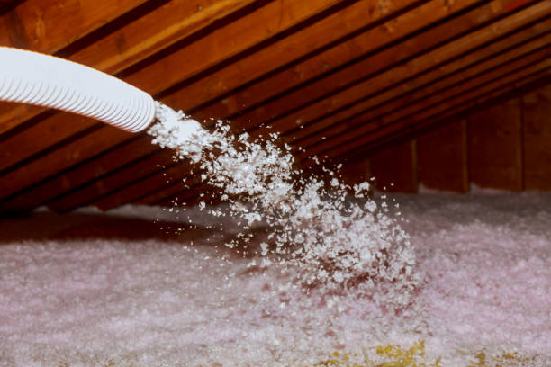 Best Types of Insulation in Tiburon, CA