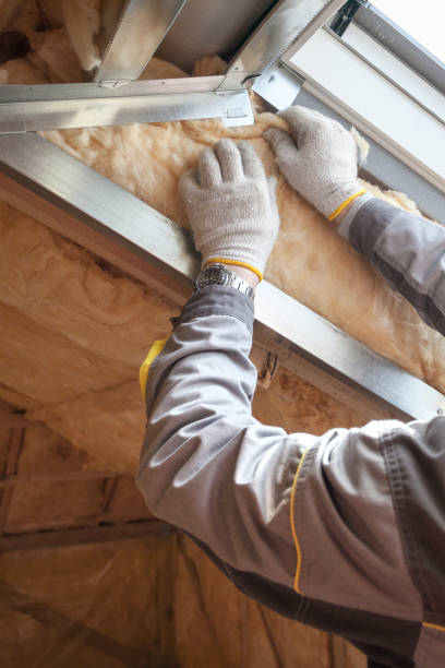 Best Types of Insulation in Tiburon, CA